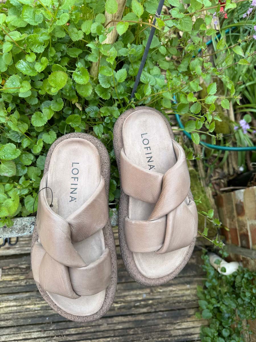 Lofina 7562