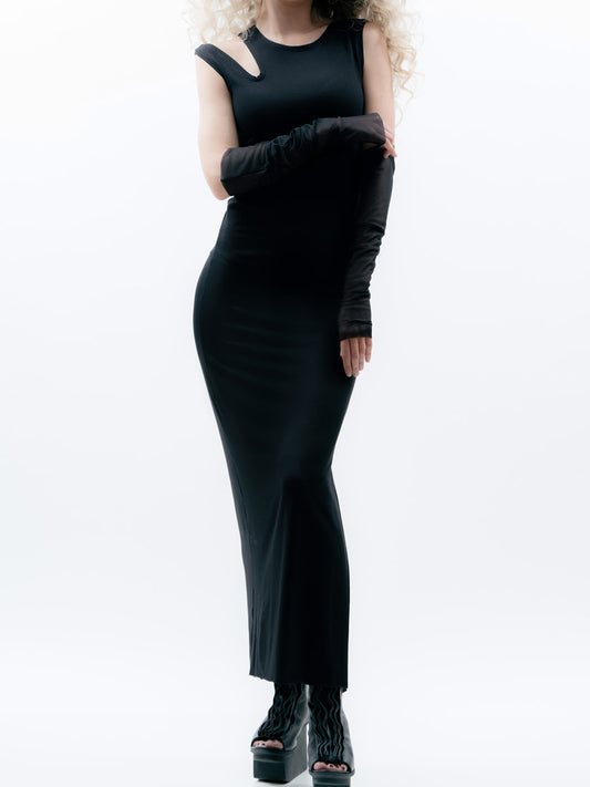Xenia 